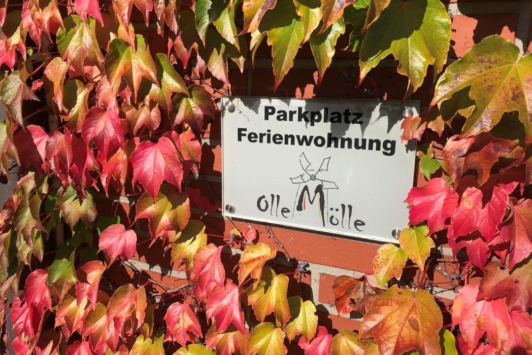 Photo of Others in Bad Bentheim