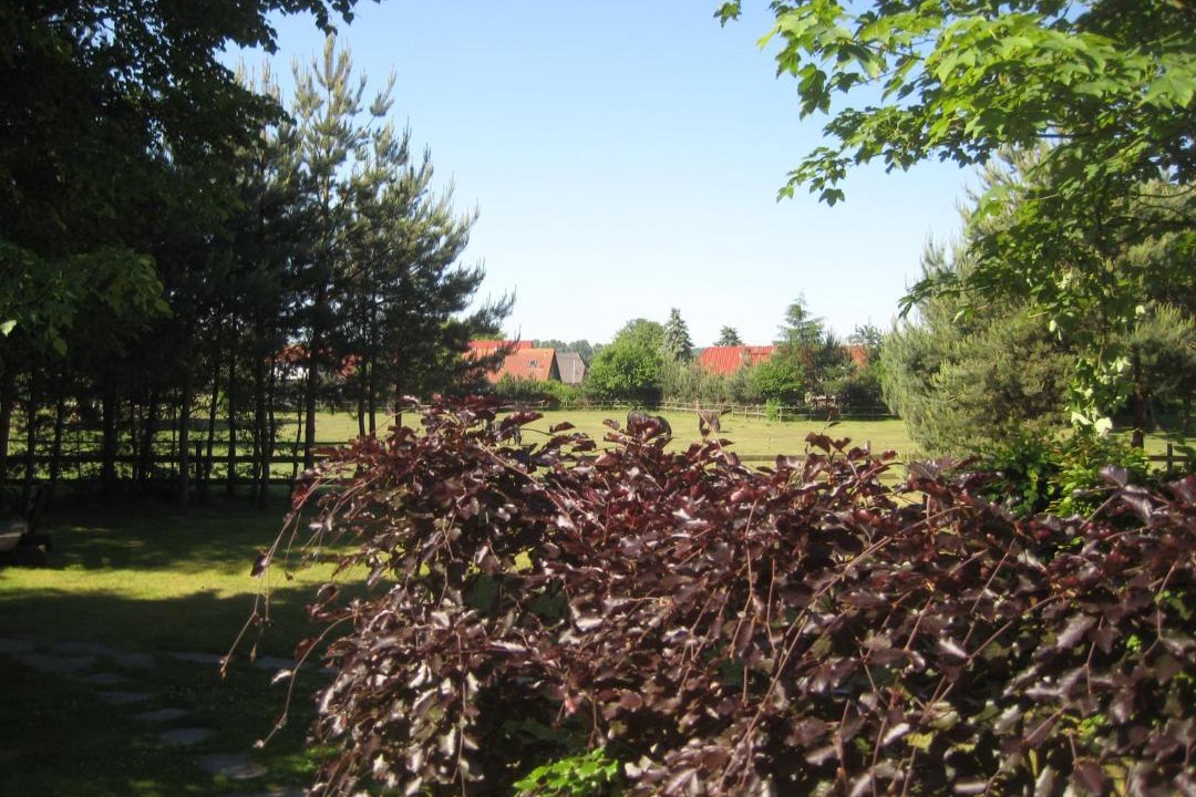 Photo of Others in Wittenbeck