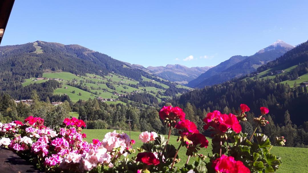 Photo of Others in Alpbach