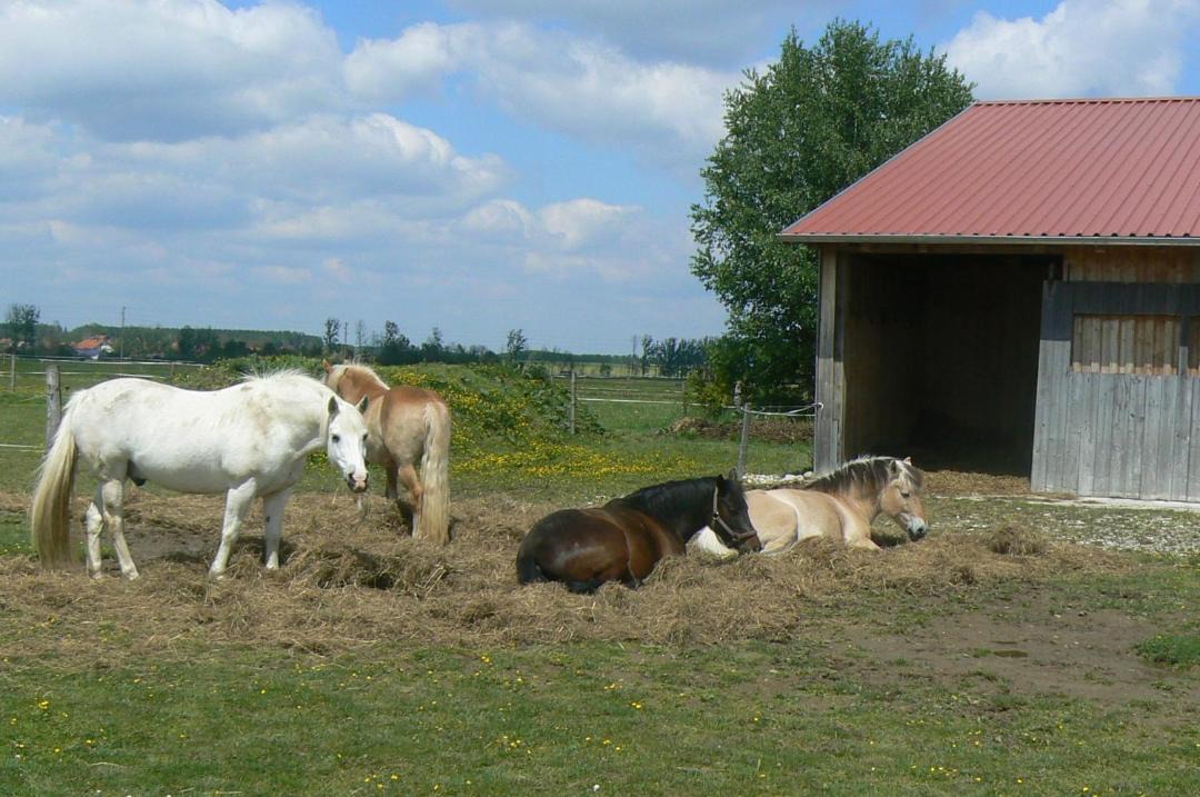 Photo of Others in Oberostendorf