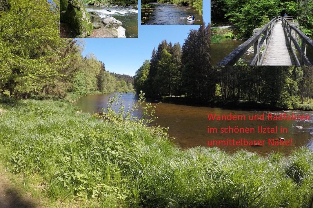 Photo of Others in Neukirchen vorm Wald