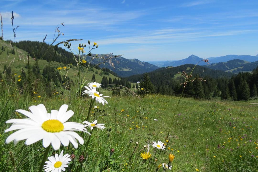 Photo of Outdoor in Oberstdorf