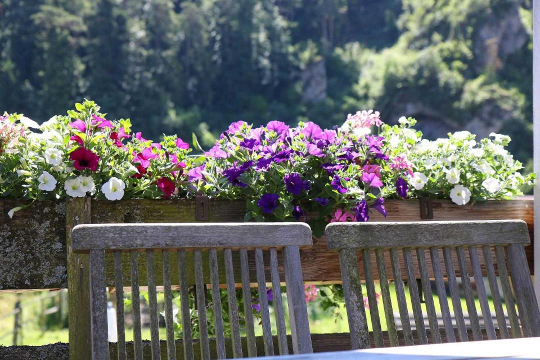 Photo of Patio Balcony in Nankendorf