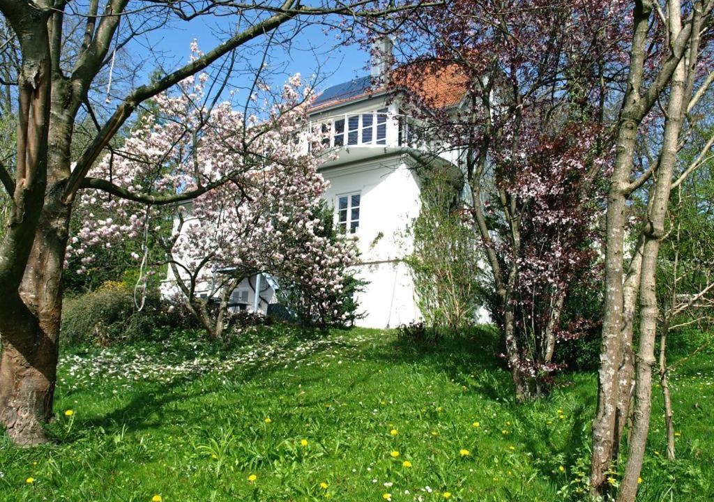 Photo of Others in Utting am Ammersee