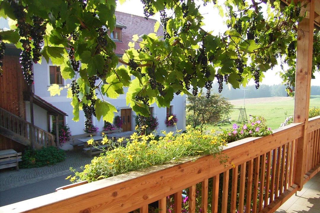 Photo of Patio Balcony in Schoensee