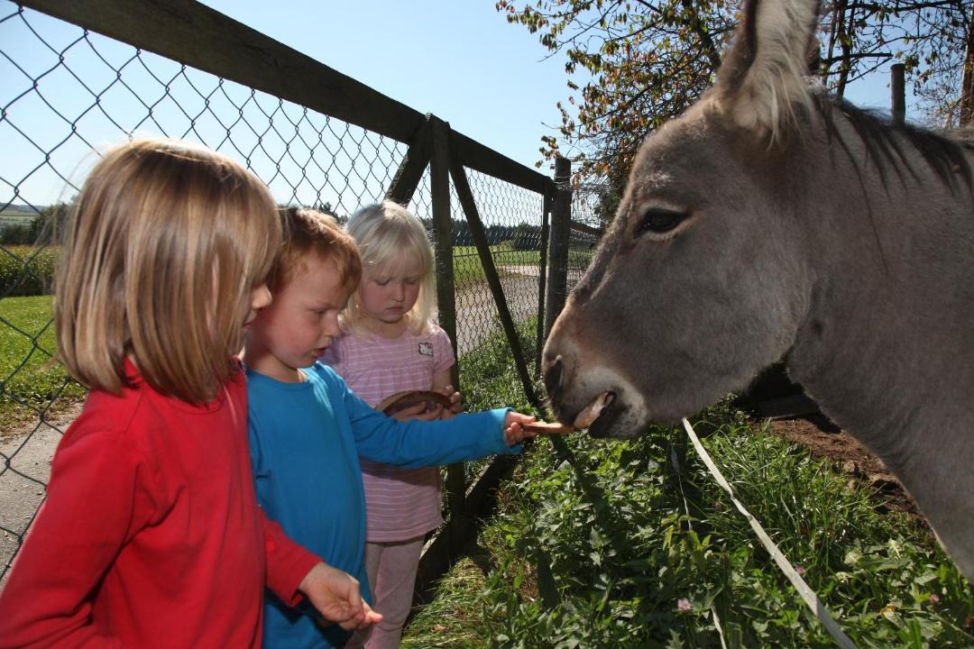 Photo of Others in Schoensee