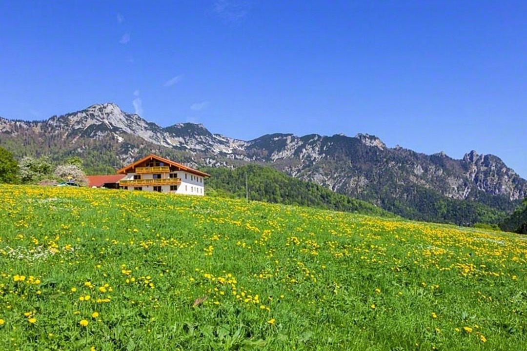 Photo of Others in Bischofswiesen