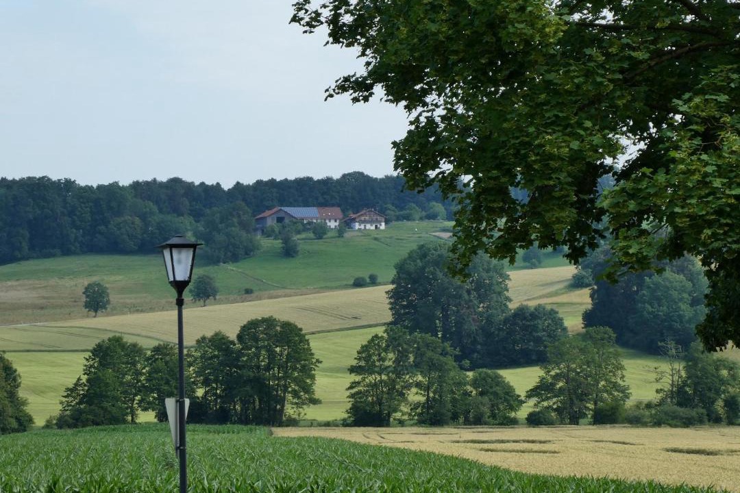 Photo of Others in Feldkirchen-Westerham