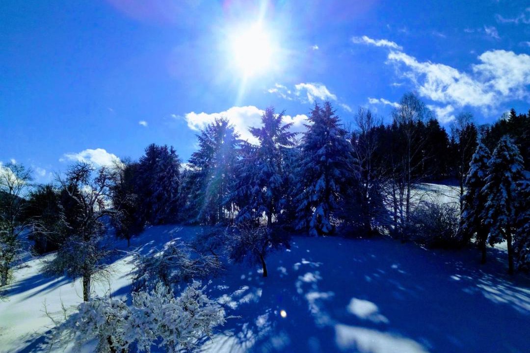 Photo of Outdoor in Maibrunn