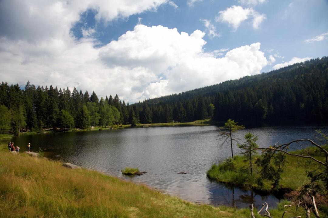 Photo of Others in Regenhutte