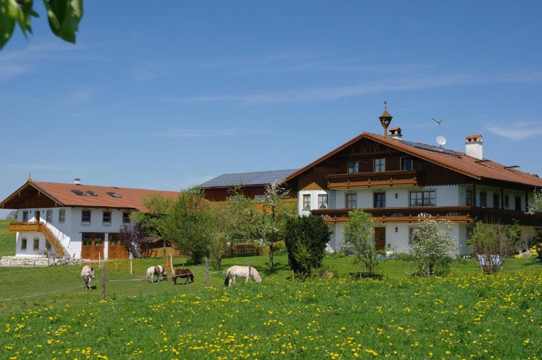 Photo of Buildings in Obersochering