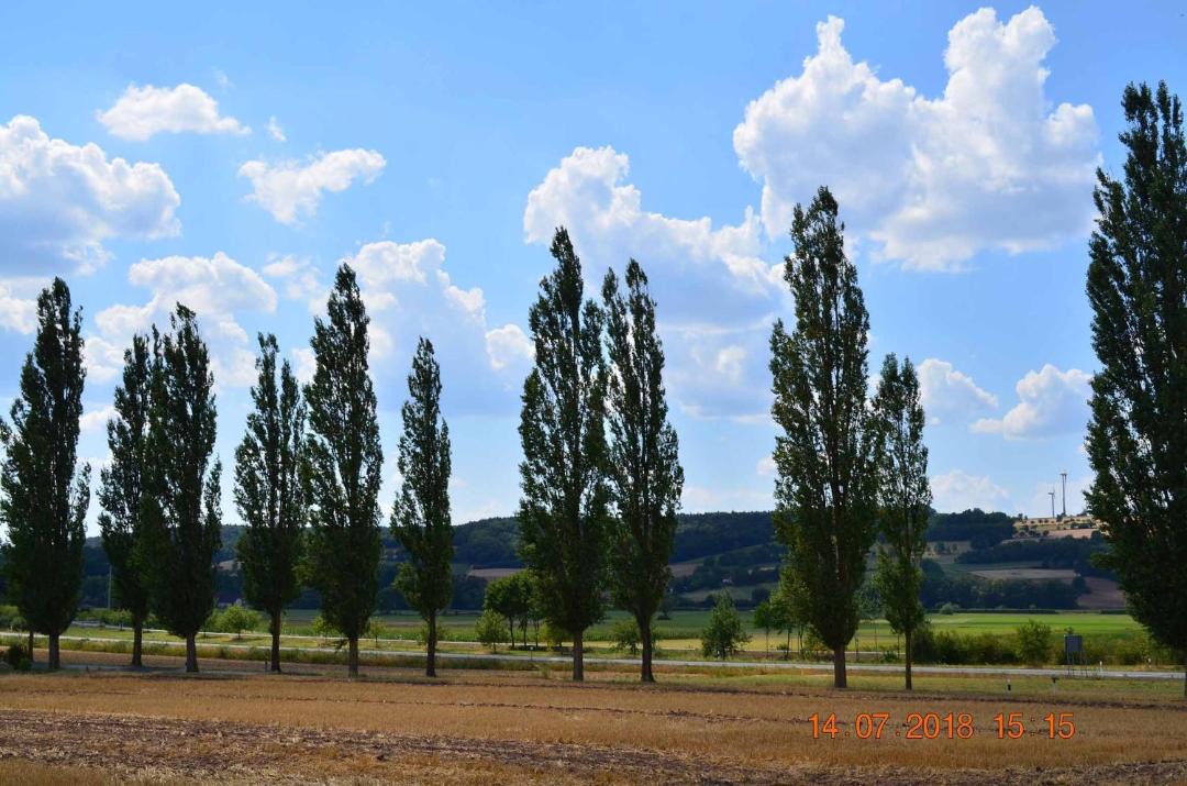 Photo of Others in Untermerzbach