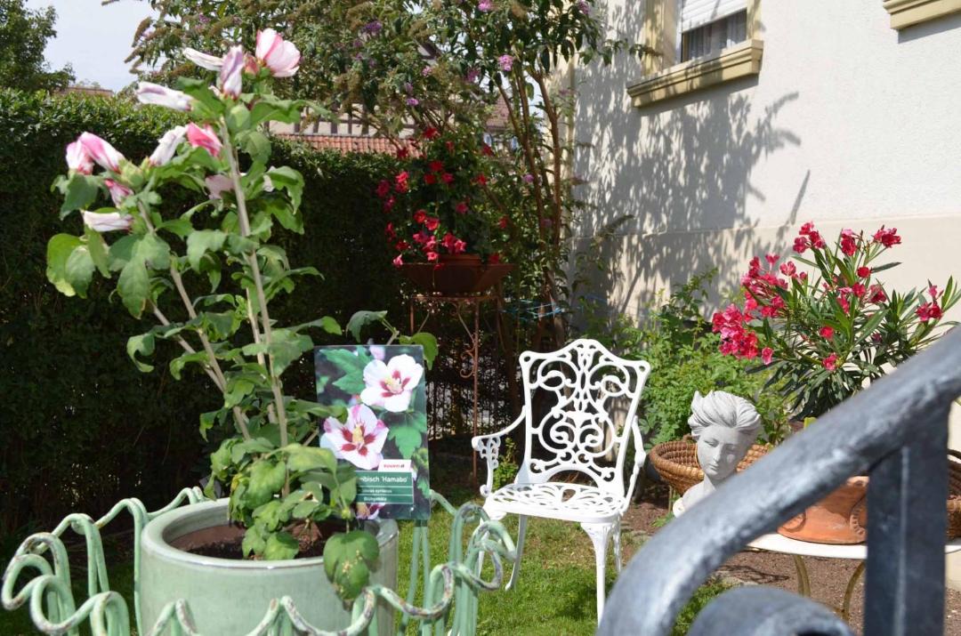 Photo of Others in Untermerzbach