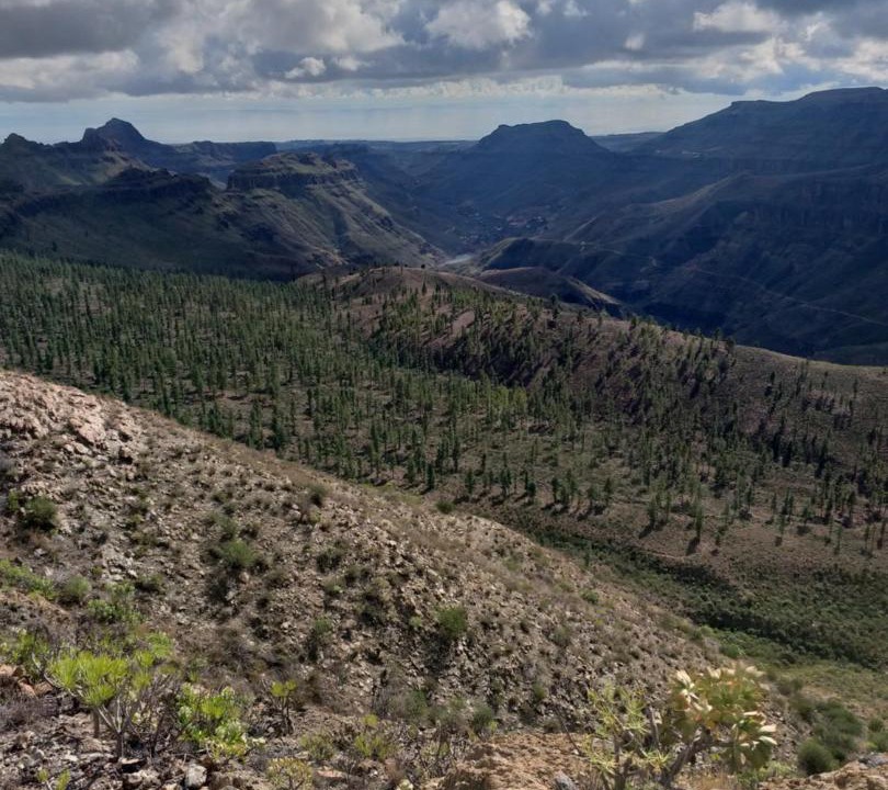 Photo of Outdoor in Santa Maria de Guia de Gran Canaria