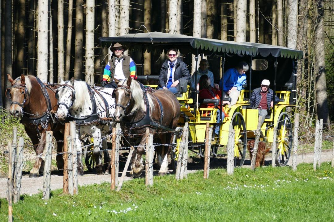 Photo of Others in Unterallgau