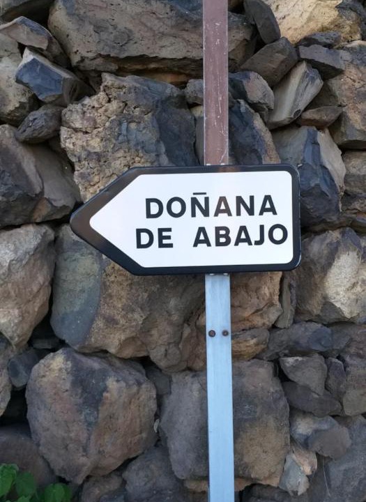 Photo of Others in Santa Maria de Guia de Gran Canaria