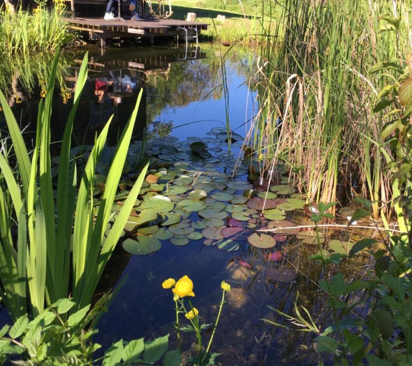 Photo of Outdoor in Diessen am Ammersee