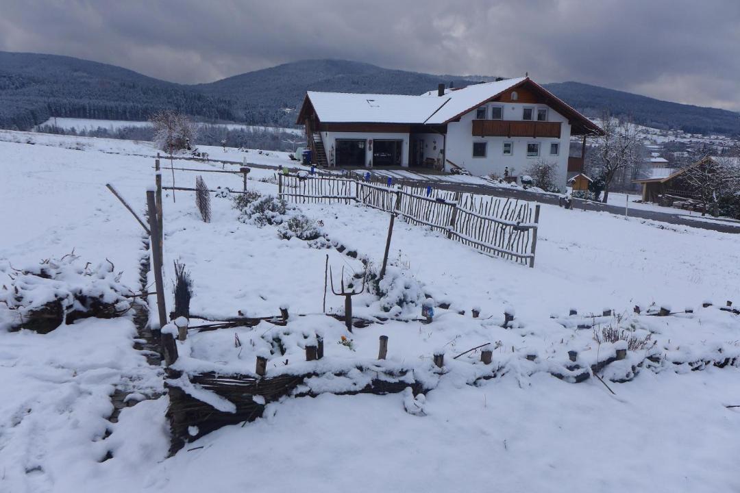 Photo of Buildings in Lam