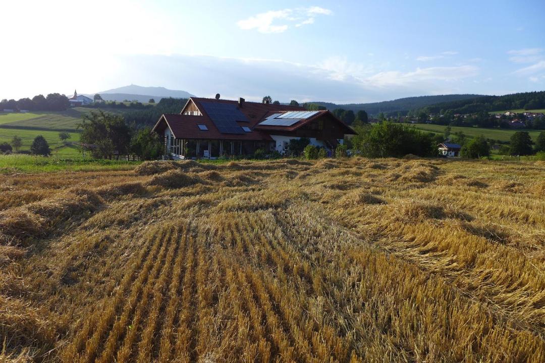 Photo of Outdoor in Lam