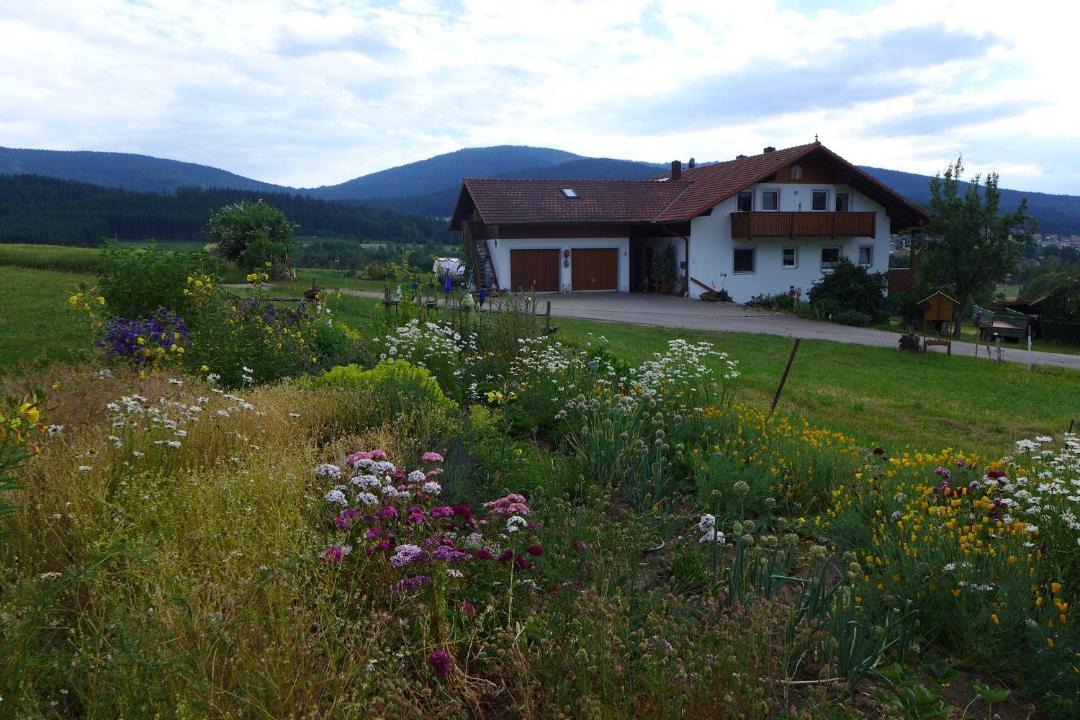 Photo of Buildings in Lam