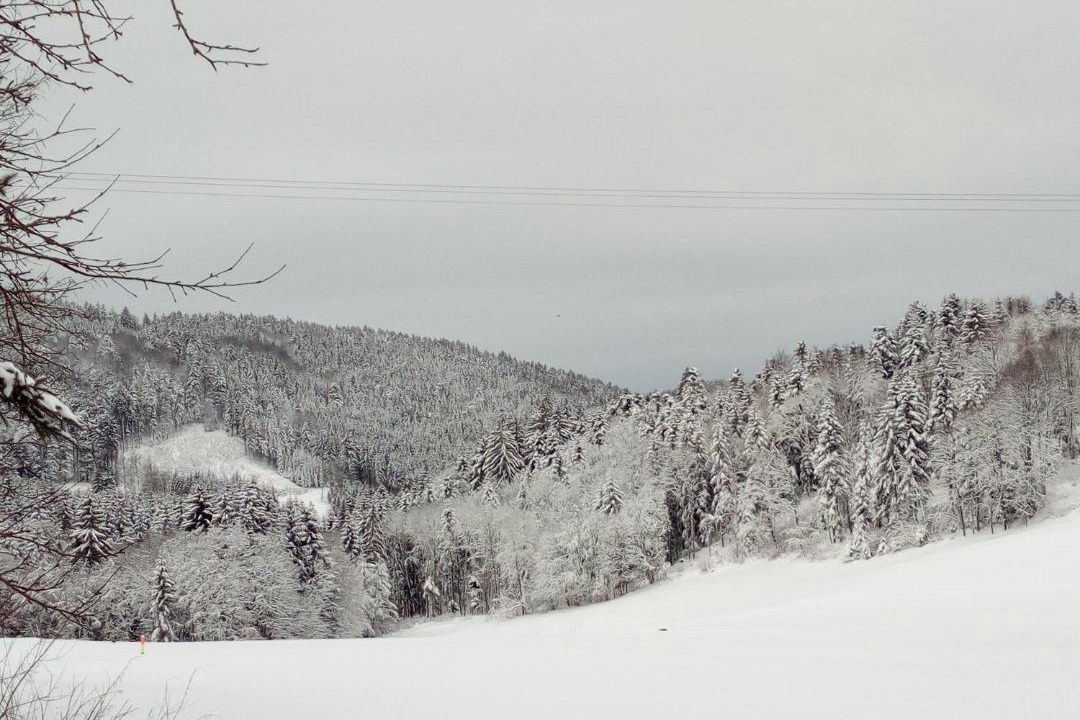 Photo of Others in Maibrunn