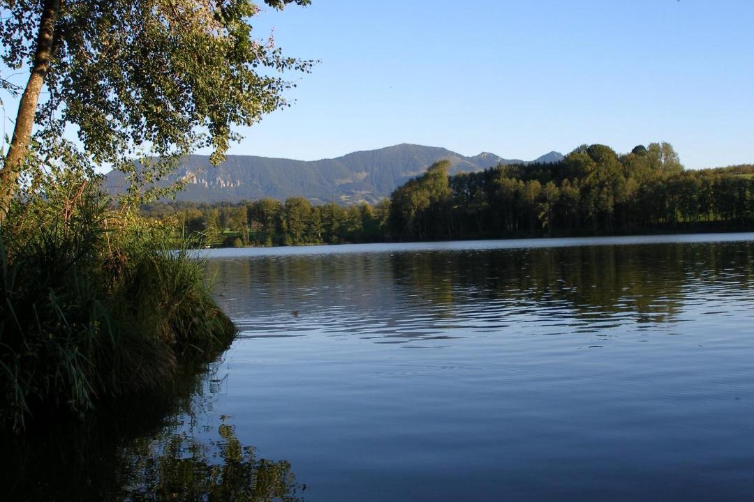 Photo of Others in Riedering