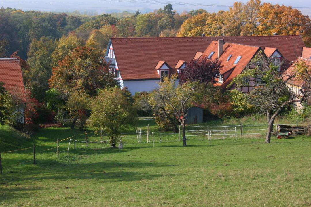 Photo of Others in Nordenberg