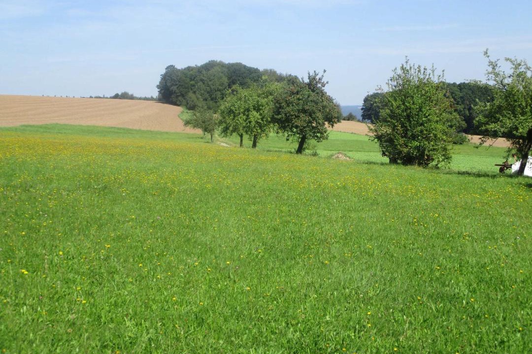 Photo of Others in Preunschen