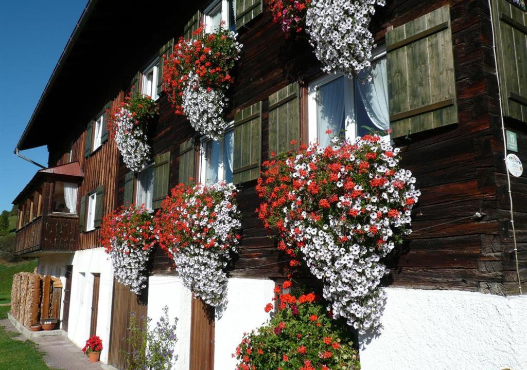 Photo of Others in Vorderhindelang