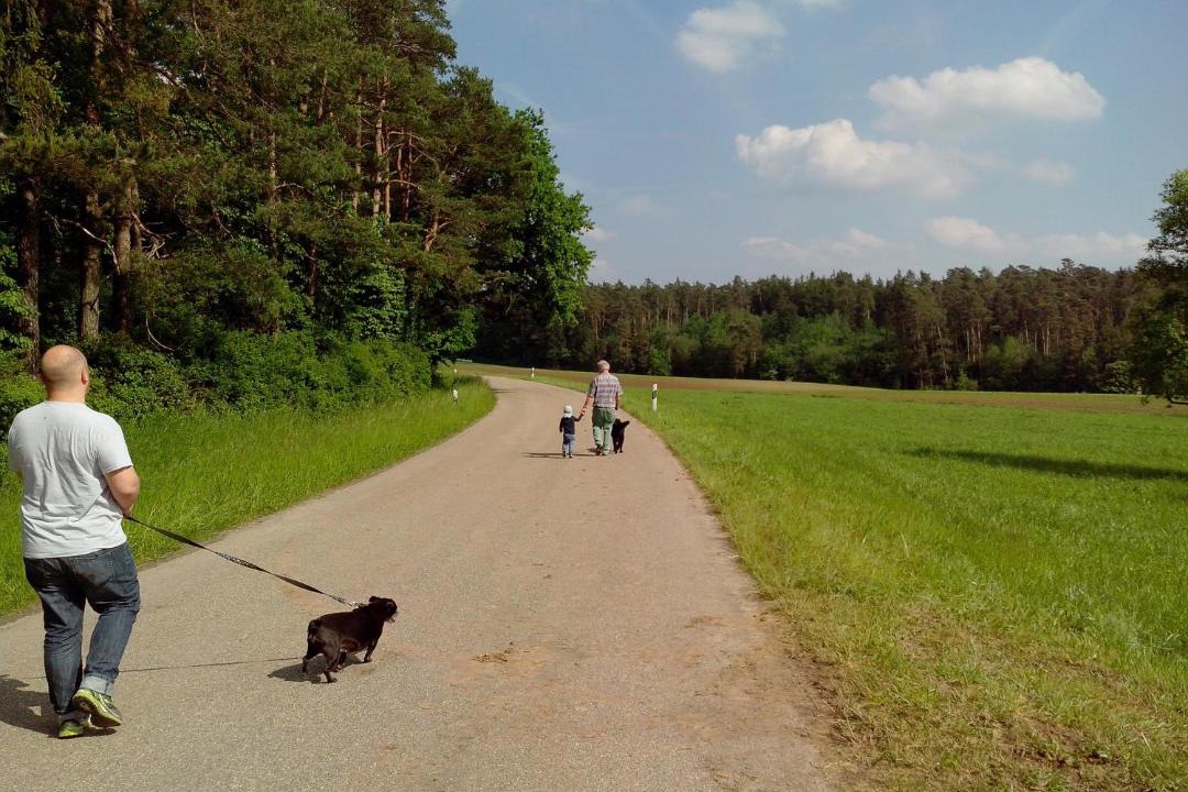 Photo of Others in Trautskirchen