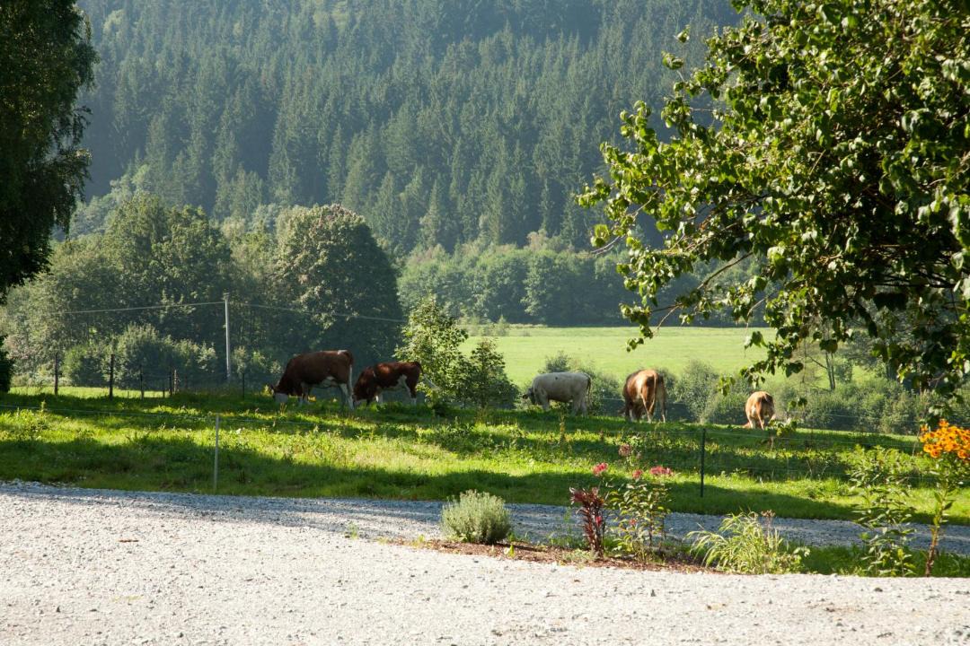 Photo of Others in Grafling