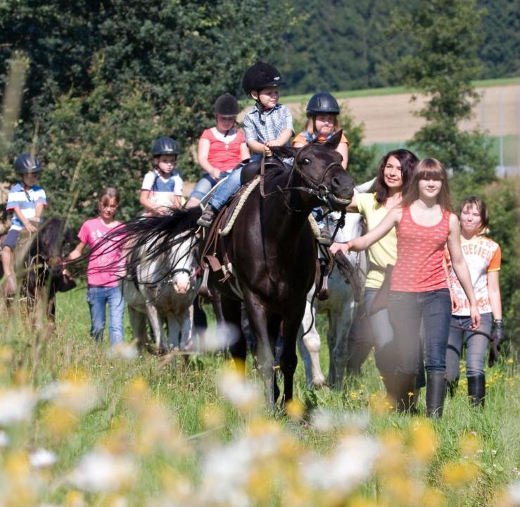Photo of Others in Grattersdorf