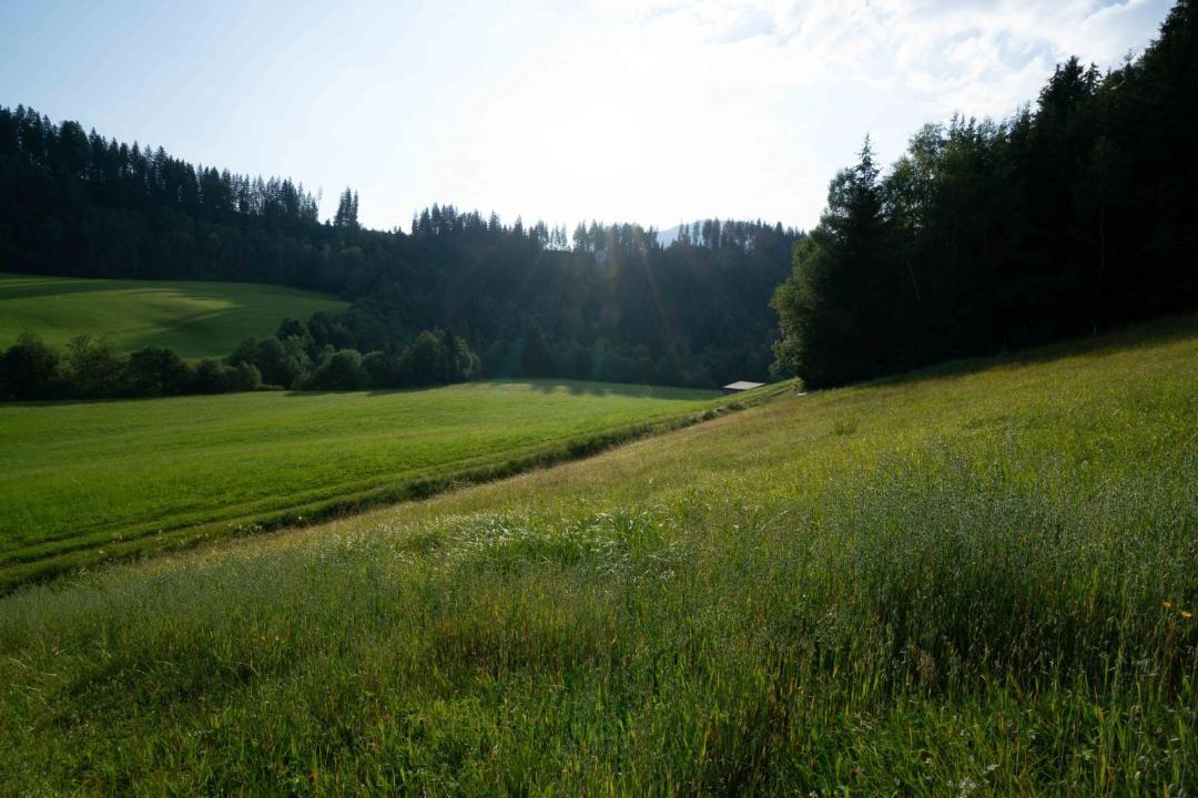 Photo of Others in Westendorf