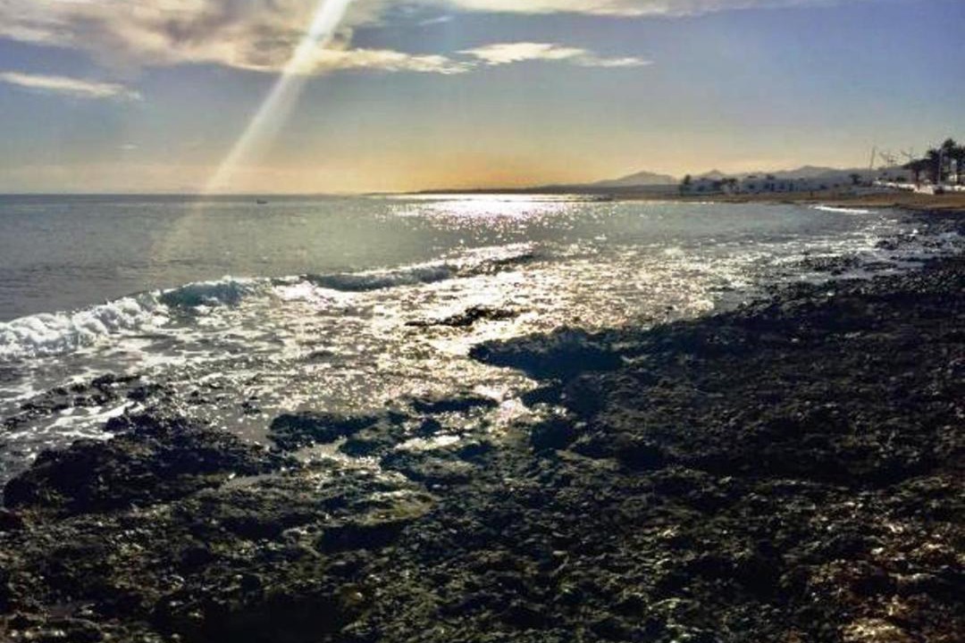 Photo of Others in Playa del Cable