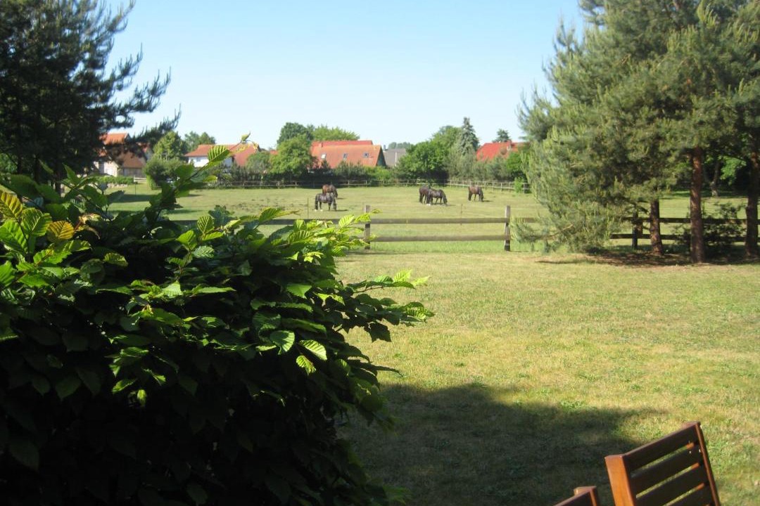 Photo of Others in Wittenbeck