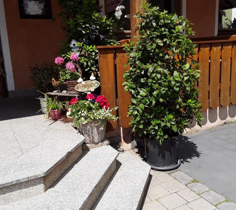 Photo of Others in Koenigstein