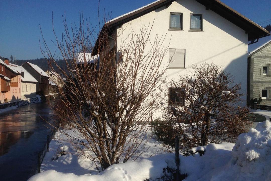 Photo of Others in Steinwiesen