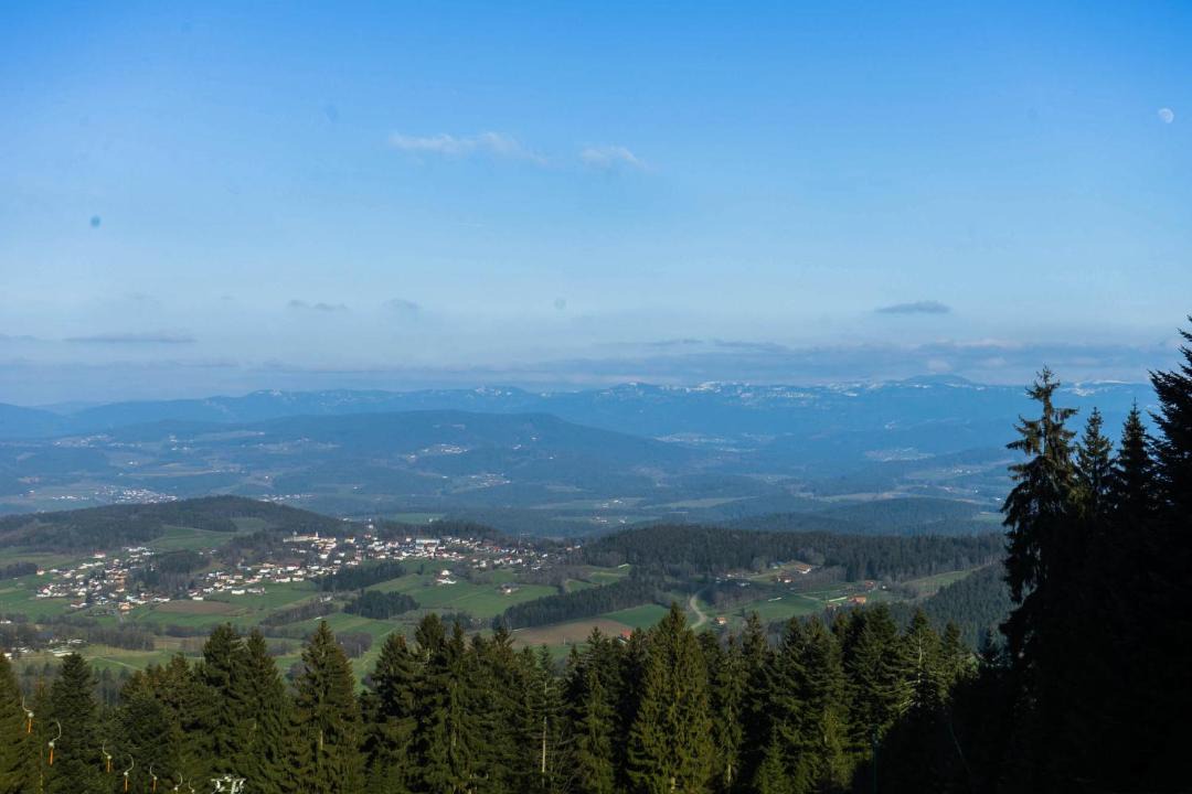 Photo of Others in Maibrunn
