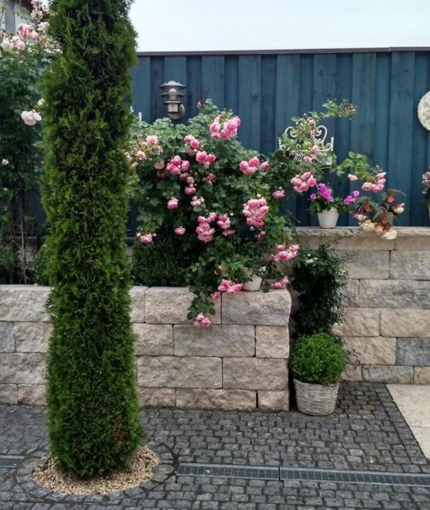 Photo of Outdoor in Dachau District
