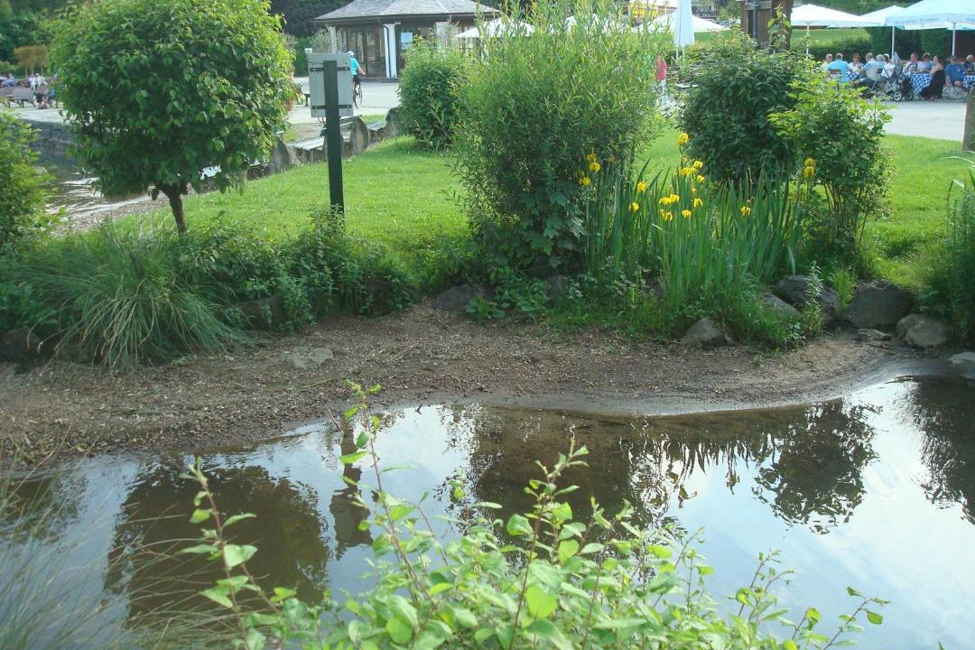 Photo of Others in Bad Wiessee