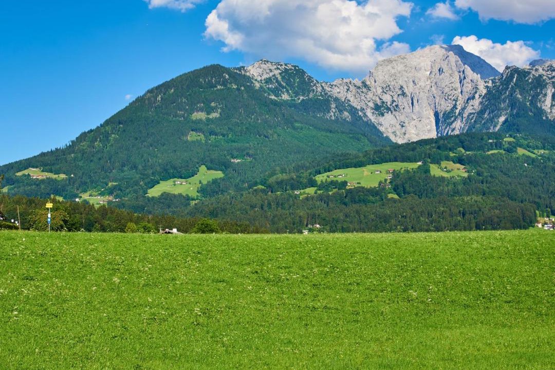 Photo of Others in Oberschonau