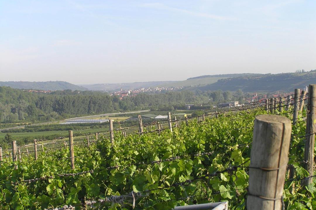 Photo of Others in Ochsenfurt