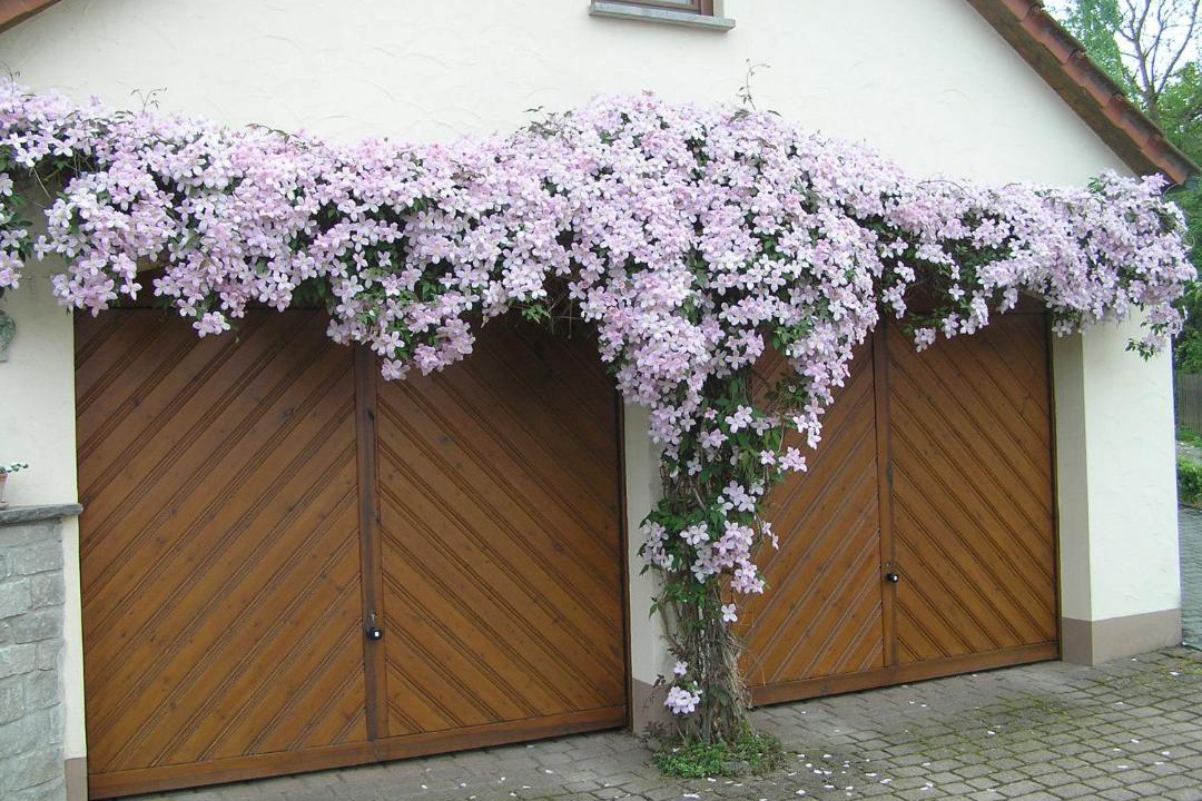 Photo of Others in Ochsenfurt