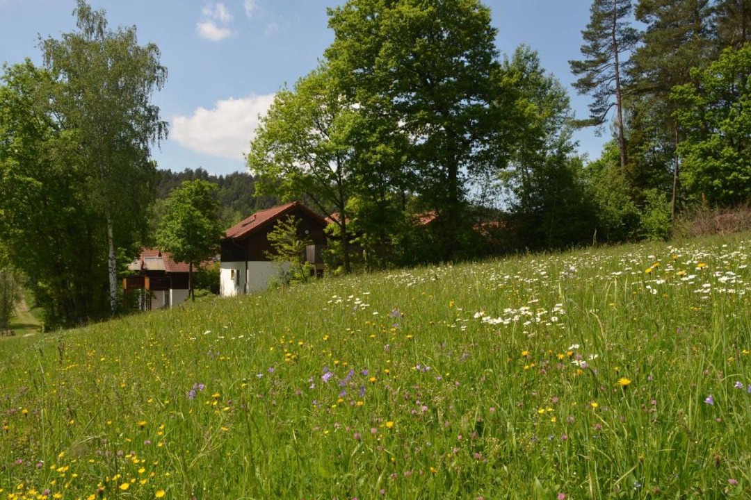 Photo of Others in Grafenwiesen