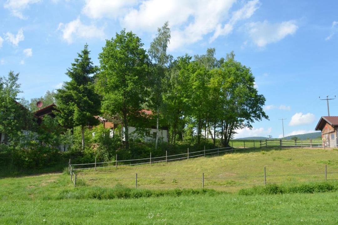 Photo of Others in Grafenwiesen