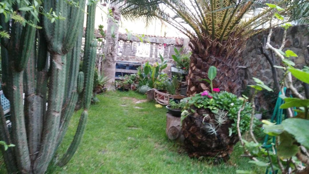 Photo of Others in Tafira Baja