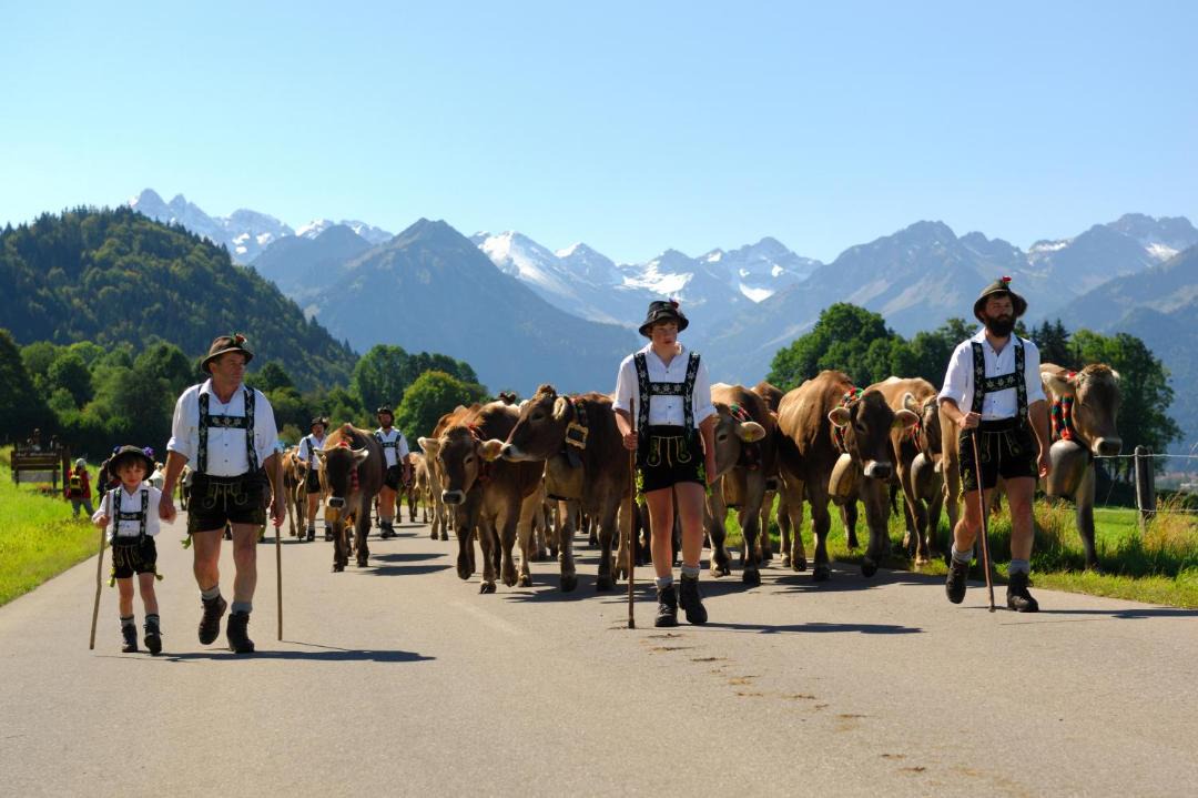Photo of Others in Oberstdorf