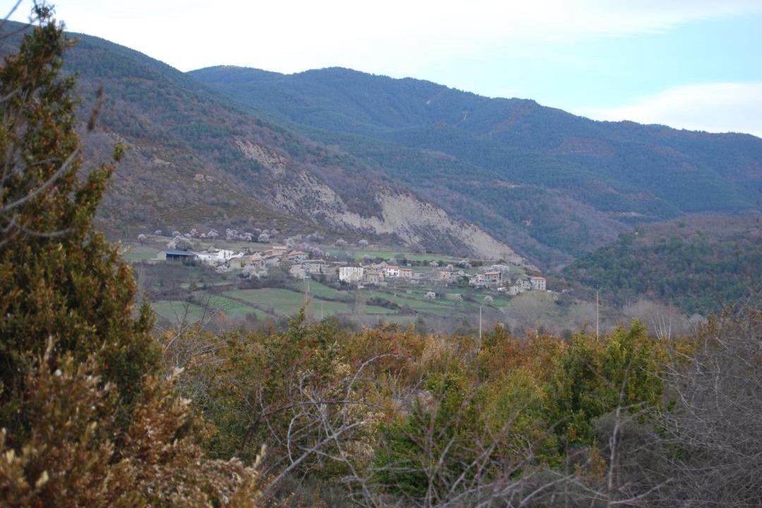 Photo of Others in Olivan