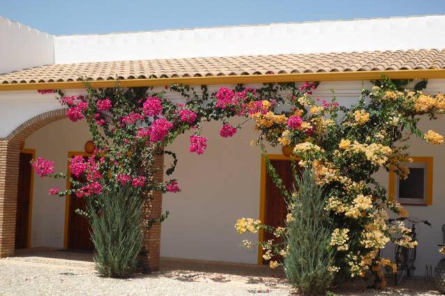 Photo of Others in Villamartin