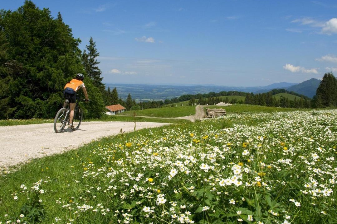 Photo of Others in Grassau